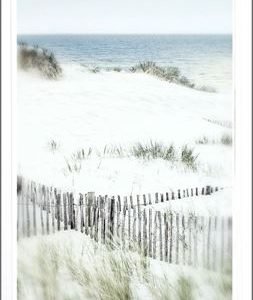Dune Vista III