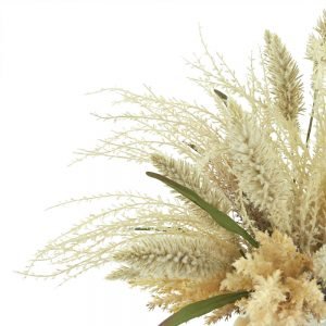 Pampas, Pennisetum In Decorative Ceramic Vase