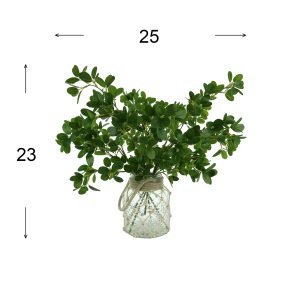 Boxwood Arrangement in Glass Vase with Rope Accent